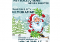 Miškininkai tradiciškai dalins eglių šakas ir kvies parsinešti Kalėdas į savo namus