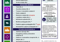 Informacija apie studijas Panevėžio kolegijoje