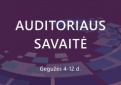 Auditoriaus dienai paminėti - Atvirų durų valanda
