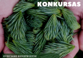 Anykščių rajono savivaldybė kviečia į „Tarptautinį floristinių kilimų konkursą“