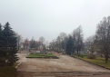 Kupiškio miesto centrinėje L. Stuokos-Gucevičiaus aikštėje pradedami medžių šalinimo darbai
