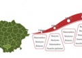 Startuoja Nacionalinis mokinių pasiekimų patikrinimas