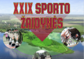 Krašto apsaugos savanorių pajėgų XXIX sporto žaidynės