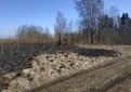 Pernykštės žolės gaisrai kelia pavojų žmonėms ir gamtai