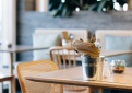 Kavinių, restoranų, barų darbo laikas jau neribojamas