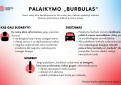 Vyriausybė pritarė palaikymo „burbulų“ kūrimui – bus leidžiama susitikti su vienišais žmonėmis