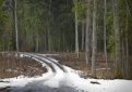 Ribojamas eismas vietiniais keliais