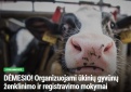 Organizuojami ūkinių gyvūnų ženklinimo ir registravimo mokymai