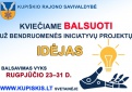 Kviečiame balsuoti už Kupiškio rajono savivaldybės bendruomenės iniciatyvų, skirtų gyvenamajai aplinkai kurti ir plėsti, projektų idėjas