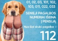 Nebeliks senųjų pagalbos numerių