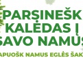 Akcija „Parsinešk Kalėdas į savo namus“