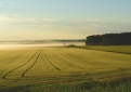 Patvirtintos 2022 m. tiesioginių išmokų taisyklės