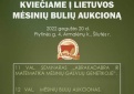 Lietuvos mėsinių galvijų augintojų ir gerintojų asociacija kviečia į Lietuvos mėsinių bulių aukcioną