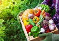 VšĮ Kaimo verslo ir rinkų plėtros agentūros informacija dėl nesąžiningos prekybos praktikos žemės ūkio ir maisto produktų tiekimo grandinėje