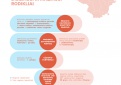 Ar Panevėžio apskrities politikai, savivaldybės ir Regioninės kultūros tarybos turi įrankius padidinti kultūros ir meno sričių įvairovę gyventojams?