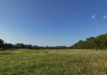 Aktualūs daugiamečių ganyklų ir pievų atkūrimo tvarkos aprašo pakeitimai 