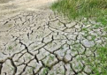 Draudimo įmokų kompensacijos skatina ūkininkus draustis