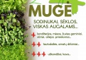 Žalioji mugė+