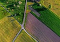 Pradedamas kasmetinis pasėlių deklaravimas 