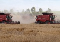 Tiesioginių išmokų avansai – jau kitą savaitę
