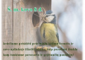 Inkilų kėlimo šventė
