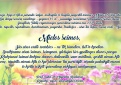 Gegužės 15-oji – Tarptautinė šeimos diena!