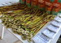 „Vaikų pavasario plaukimo varžybos 2024“