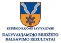  2024 m. Dalyvaujamojo biudžeto balsavimo rezultatai