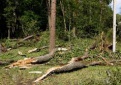 Kupiškyje siaučiant audrai primename svarbią informaciją