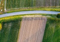 Pareiškėjai turi galimybę pakeisti žemės ūkio augalo kodą arba atsisakyti paramos