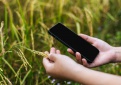 „NMA agro“ programoje – neariminės žemdirbystės plotai