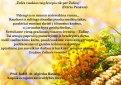 Sveikinimas Žolinių proga!