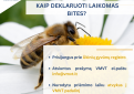 VMVT primena apie prasidedantį bičių deklaravimo laikotarpį: kaip tai padaryti paprastai ir greitai ? 
