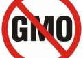 Kupiškėnai pirmieji Lietuvoje ėmėsi aktyvių veiksmų prieš genetiškai modifikuotų organizmų vartojimą