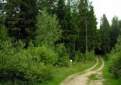Ribojamas fizinių asmenų lankymasis miškuose